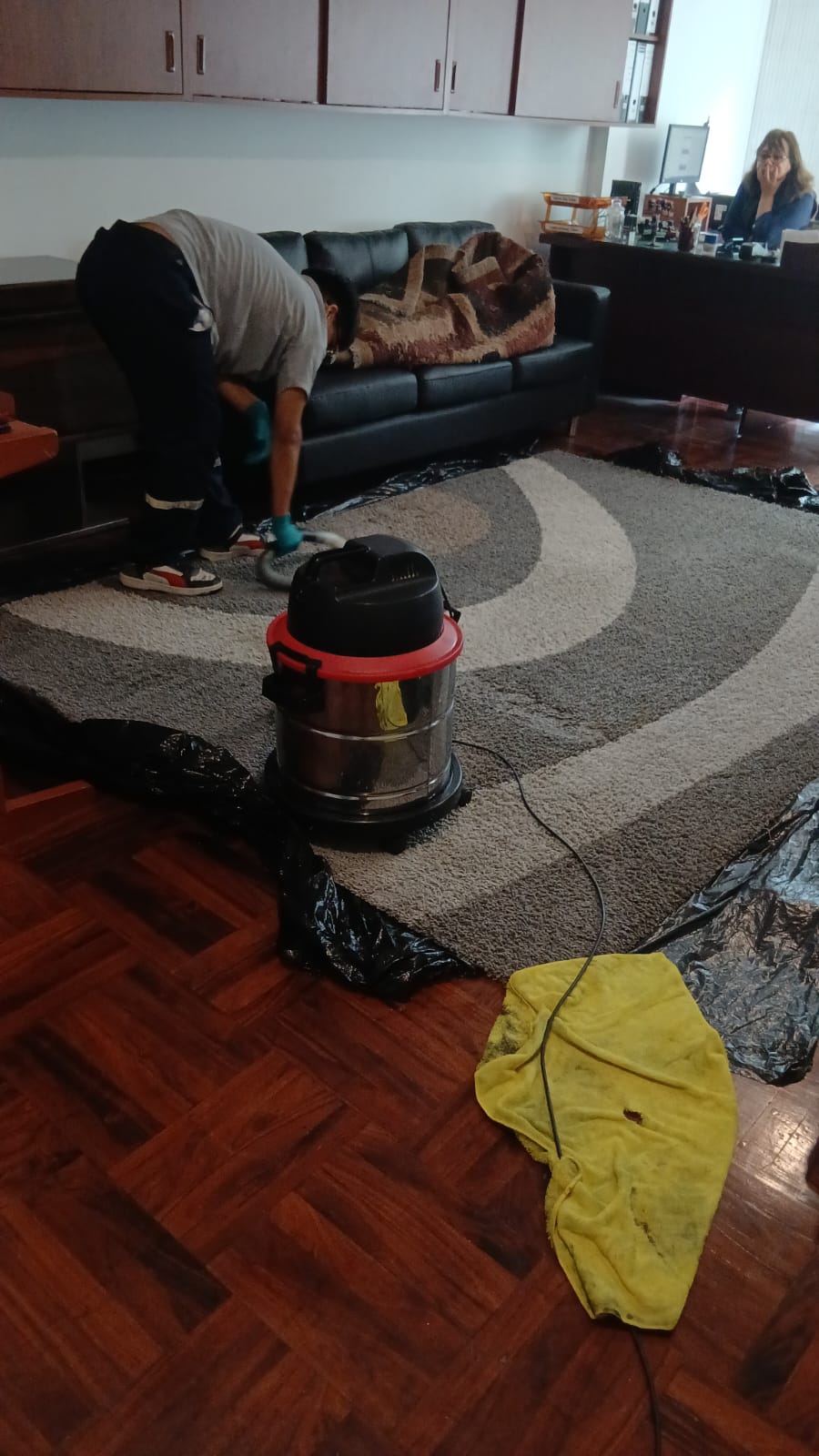 Limpieza de alfombras